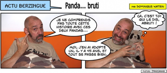 Panda... bruti