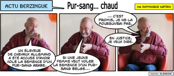 Pur-sang... chaud